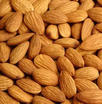 Almond 'Garden Prince'