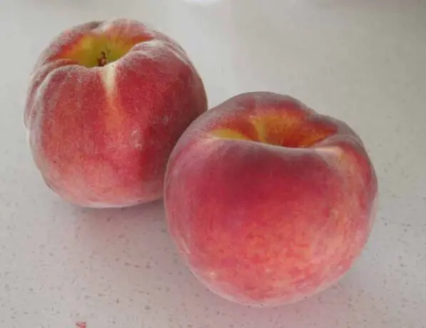 Peach 'Honey Babe'