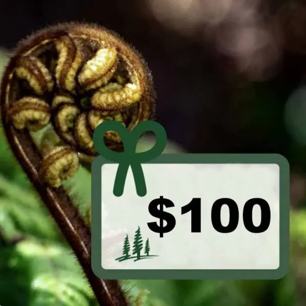 Voucher $100