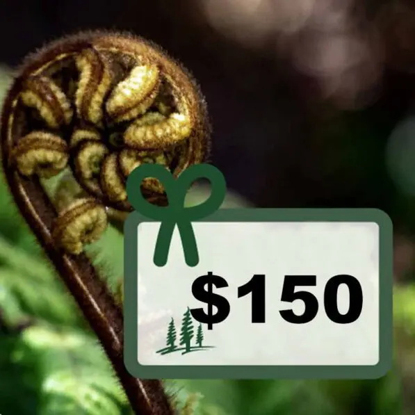 Voucher $150