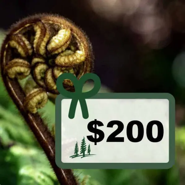 Voucher $200