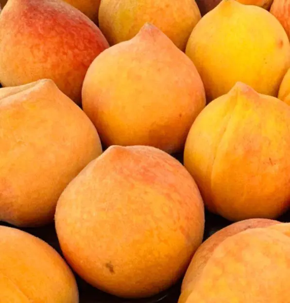 Peachcot