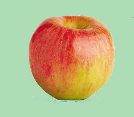 Apple 'Twenty Ounce' MM116