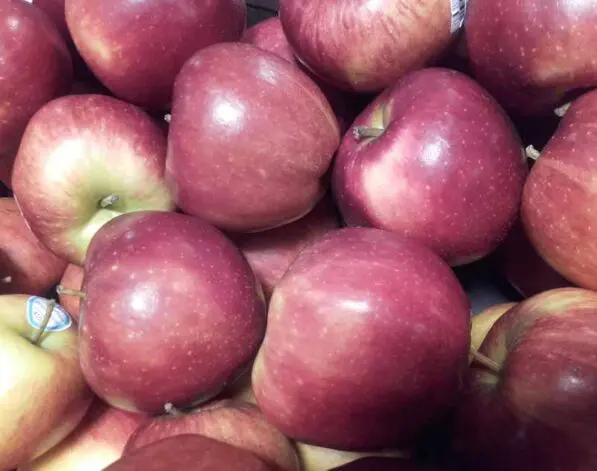 Apple 'Braeburn' M116