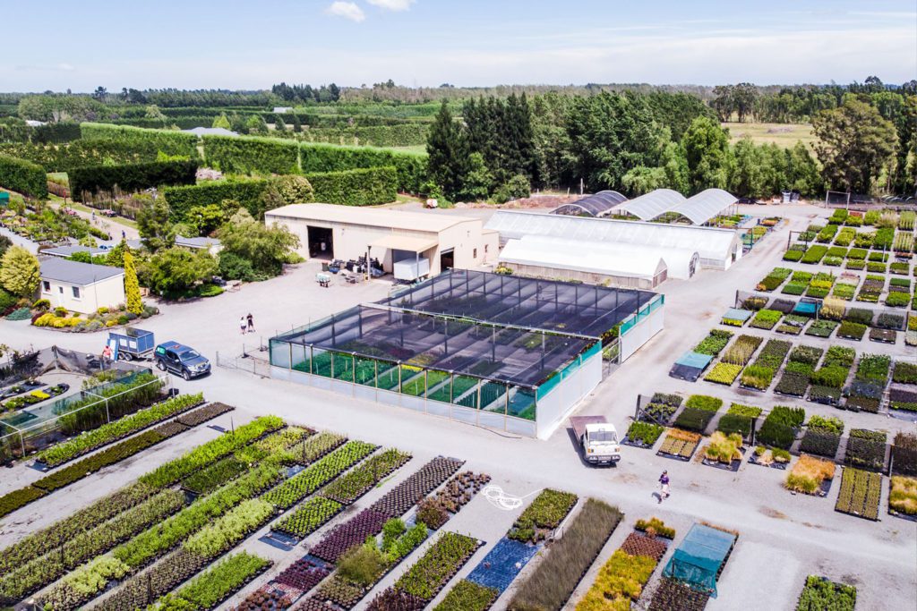 Kiwiflora Nurseries Christchurch Nursery for Plants & Trees