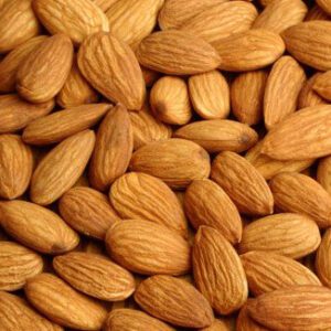 Almond 'Garden Prince'