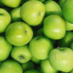 Apple 'Granny Smith' MM106