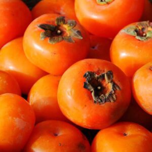 Persimmon 'Fuyu'